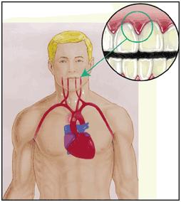 man-mouth